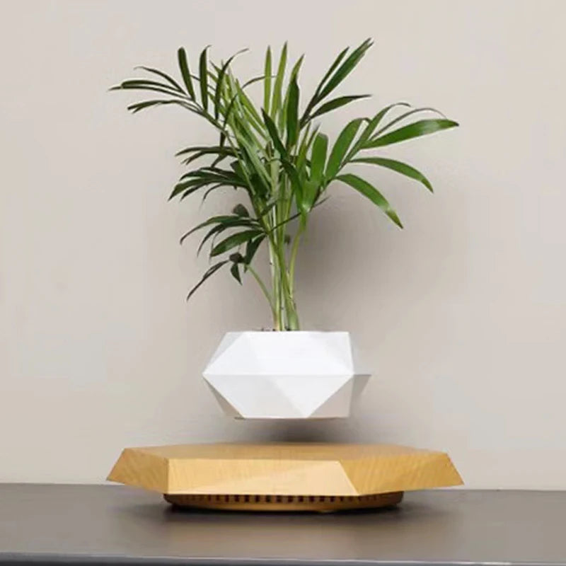 Levitating Flower Pot