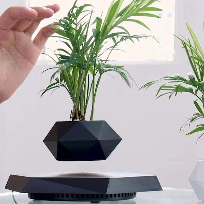 Levitating Flower Pot