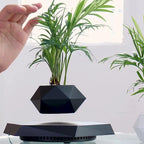 Levitating Flower Pot